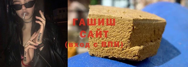 сатива Балахна