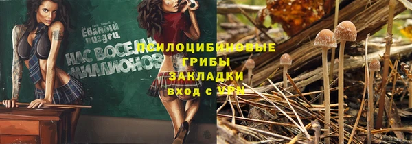 сатива Балахна