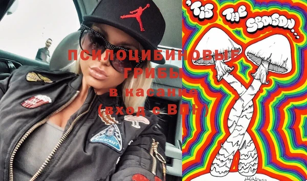 сатива Балахна