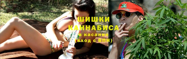 сатива Балахна