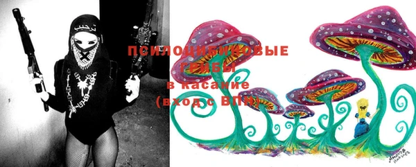 бошки Баксан
