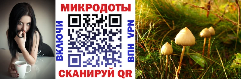Псилоцибиновые грибы MAGIC MUSHROOMS  Ивантеевка 